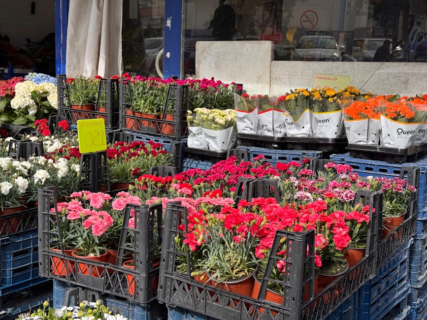 Outdoor display of various potted flowers arranged in black plastic crates outside a flower shop, including pink, white, red, orange, and yellow blooms, with some wrapped in white paper labeled 'Queen