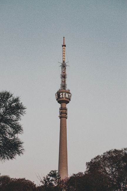 There is no flower image provided; the visible content shows a tall television or communication tower with a circular observation or signage platform near the top that features the word 'SENT'. The to